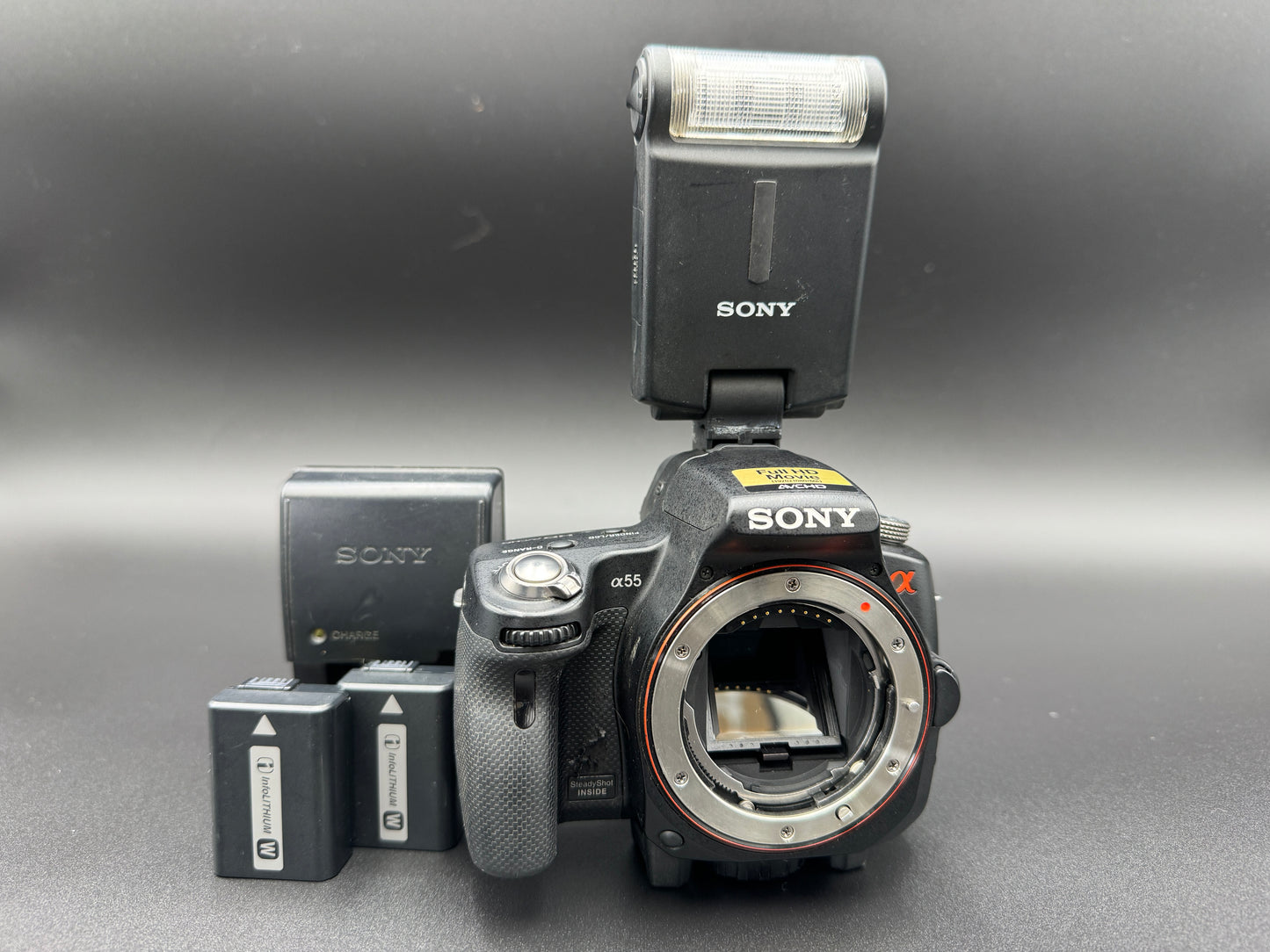 SONY Alpha A SLT-A55V Digital SLR Camera Flash Battery JAPANESE Mode Only【Exc+4】