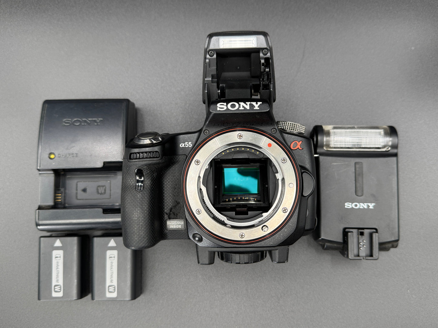 SONY Alpha A SLT-A55V Digital SLR Camera Flash Battery JAPANESE Mode Only【Exc+4】