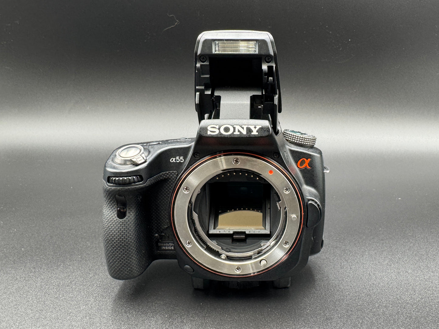 SONY Alpha A SLT-A55V Digital SLR Camera Flash Battery JAPANESE Mode Only【Exc+4】
