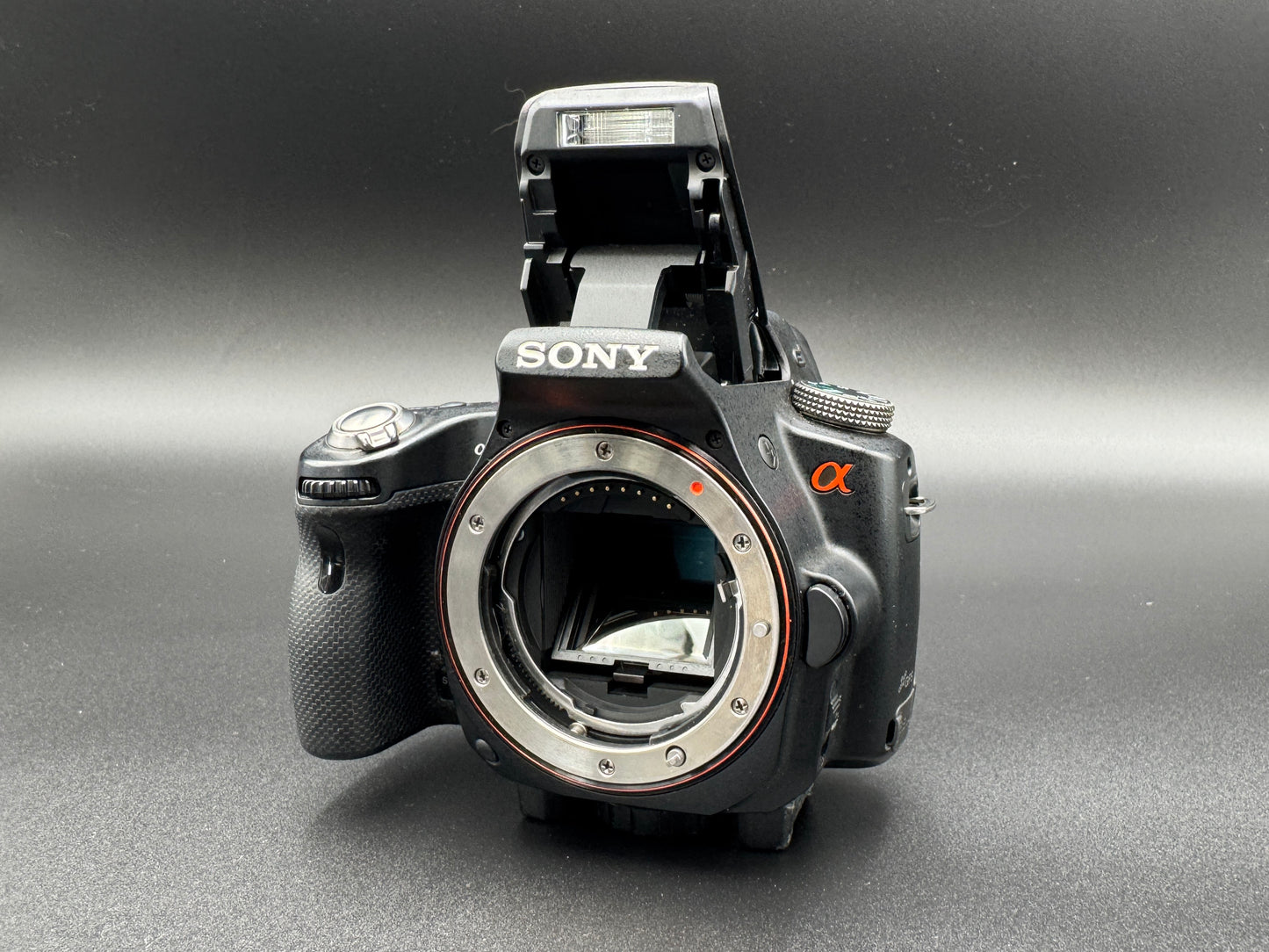SONY Alpha A SLT-A55V Digital SLR Camera Flash Battery JAPANESE Mode Only【Exc+4】