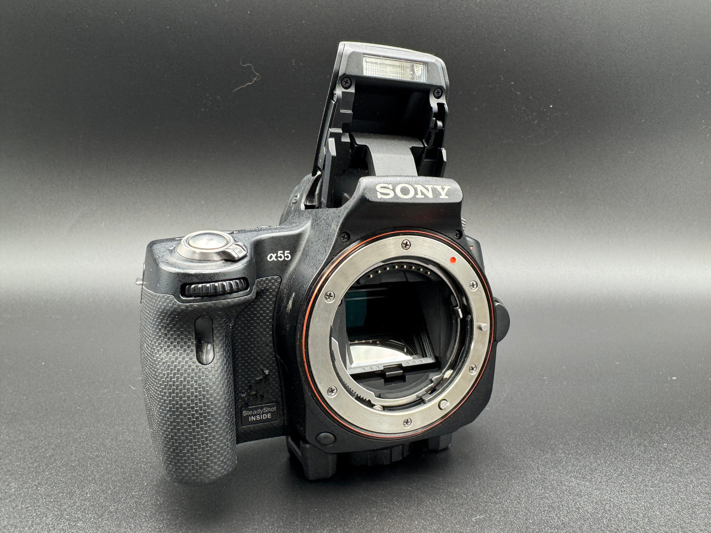 SONY Alpha A SLT-A55V Digital SLR Camera Flash Battery JAPANESE Mode Only【Exc+4】