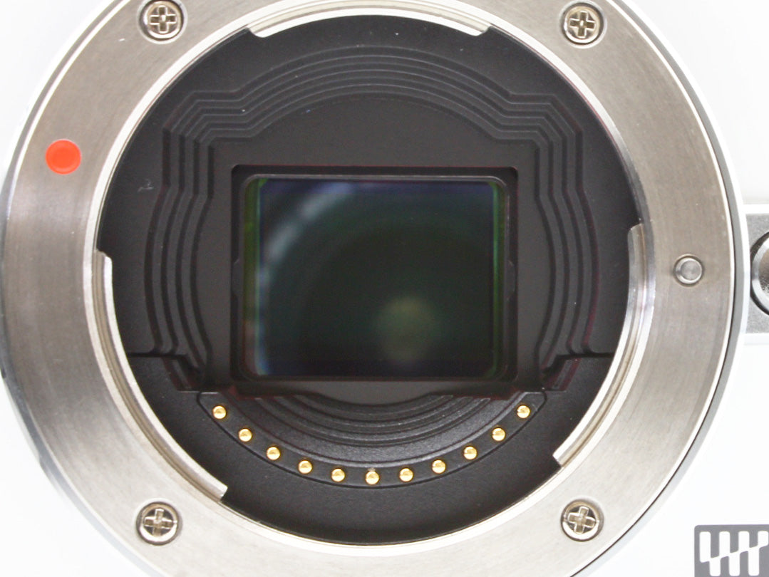 OLYMPUS PEN LITE E-PL3 12.3MP Digital Camera Body from JAPAN【Exc+5】