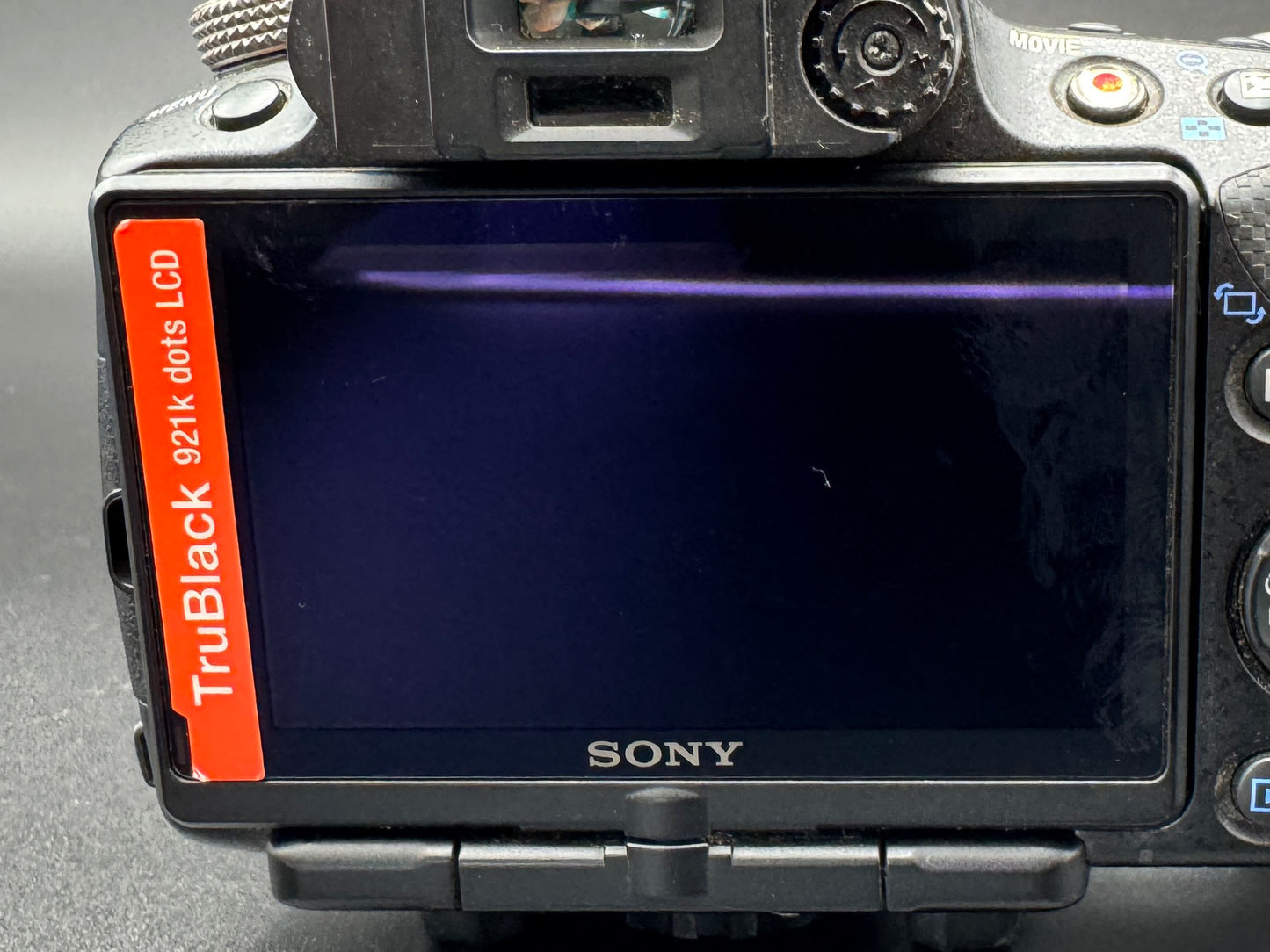 SONY Alpha A SLT-A55V Digital SLR Camera Flash Battery JAPANESE Mode Only【Exc+4】