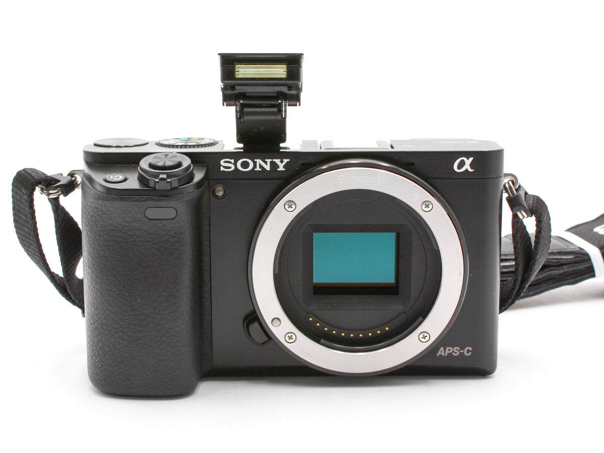 Sony α6000 ILCE-6000 Digital Camera 16-50mm f/3.5-5.6 OSS Lens JAPAN【Near Mint】
