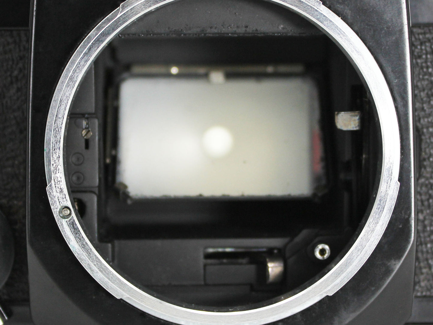 Canon EF Black 35mm SLR Film Camera Body Only from Japan【Exc+4】