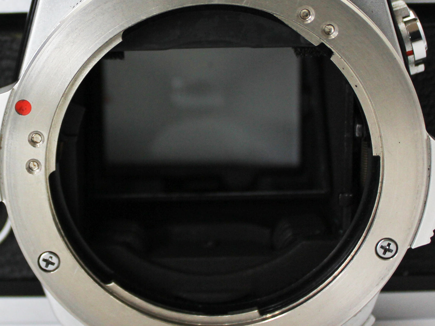 OLYMPUS OM-2 SLR Film Camera G.ZUIKO AUTO-S 50mm f/1.4 Lens from JAPAN【Exc+4】