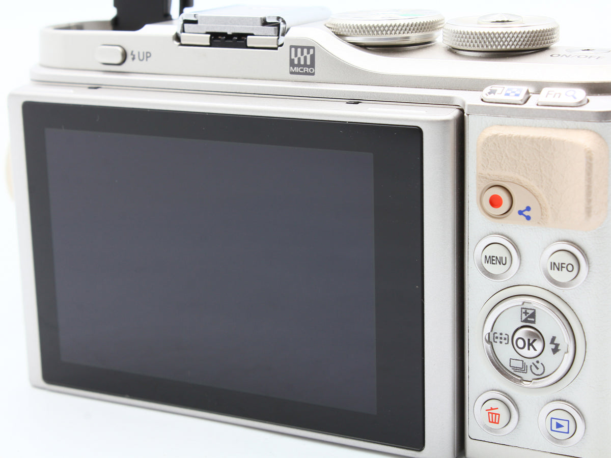 OLYMPUS PEN E-PL9 Digital Camera 14-42mm f/3.5-5.6 40-150mm f/4-5.6 Lens【Exc+4】