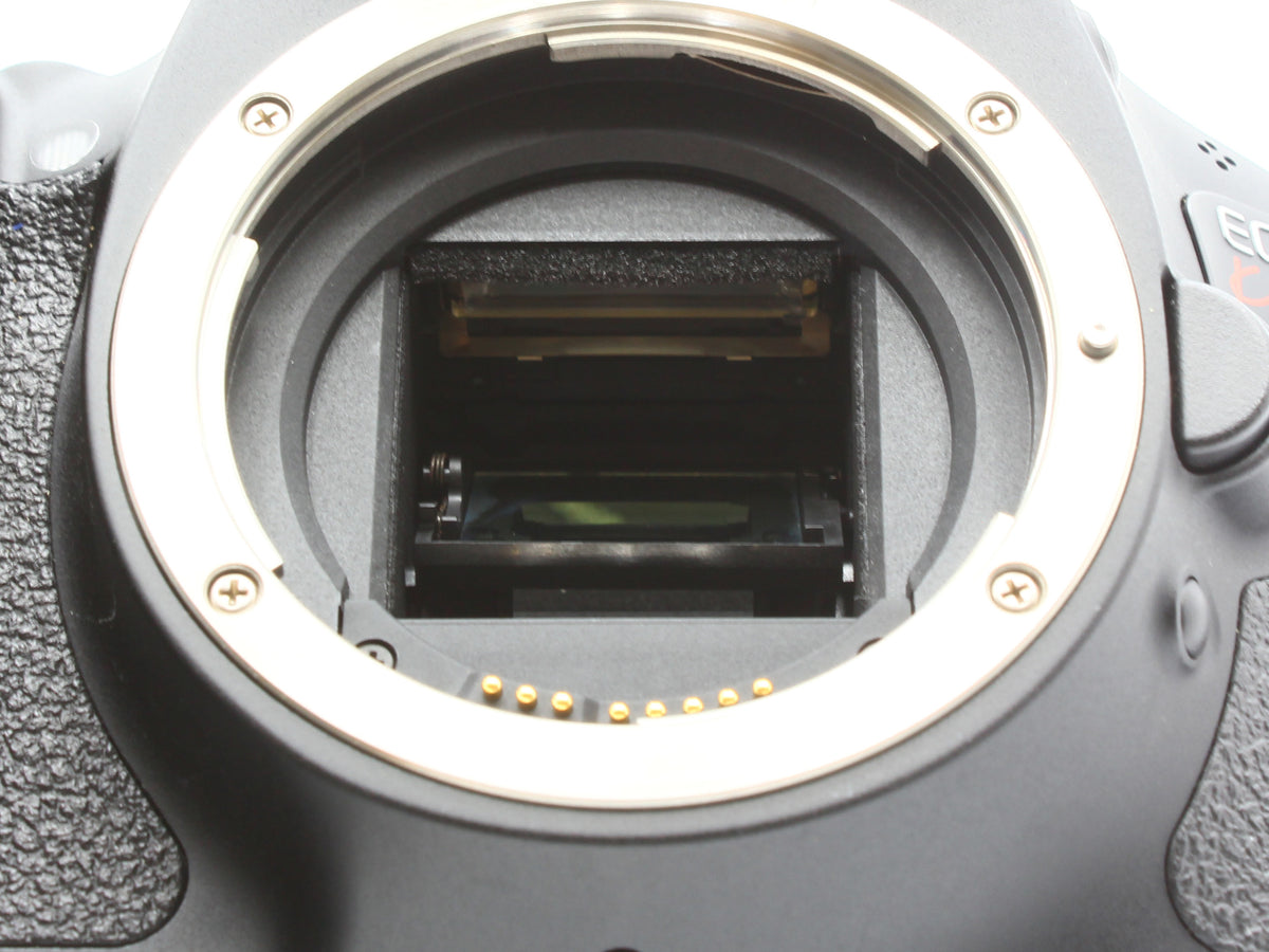 Canon EOS Kiss X5 DSLR Camera EF-S 18-55mm IS II Lens Japan【Exc+4】