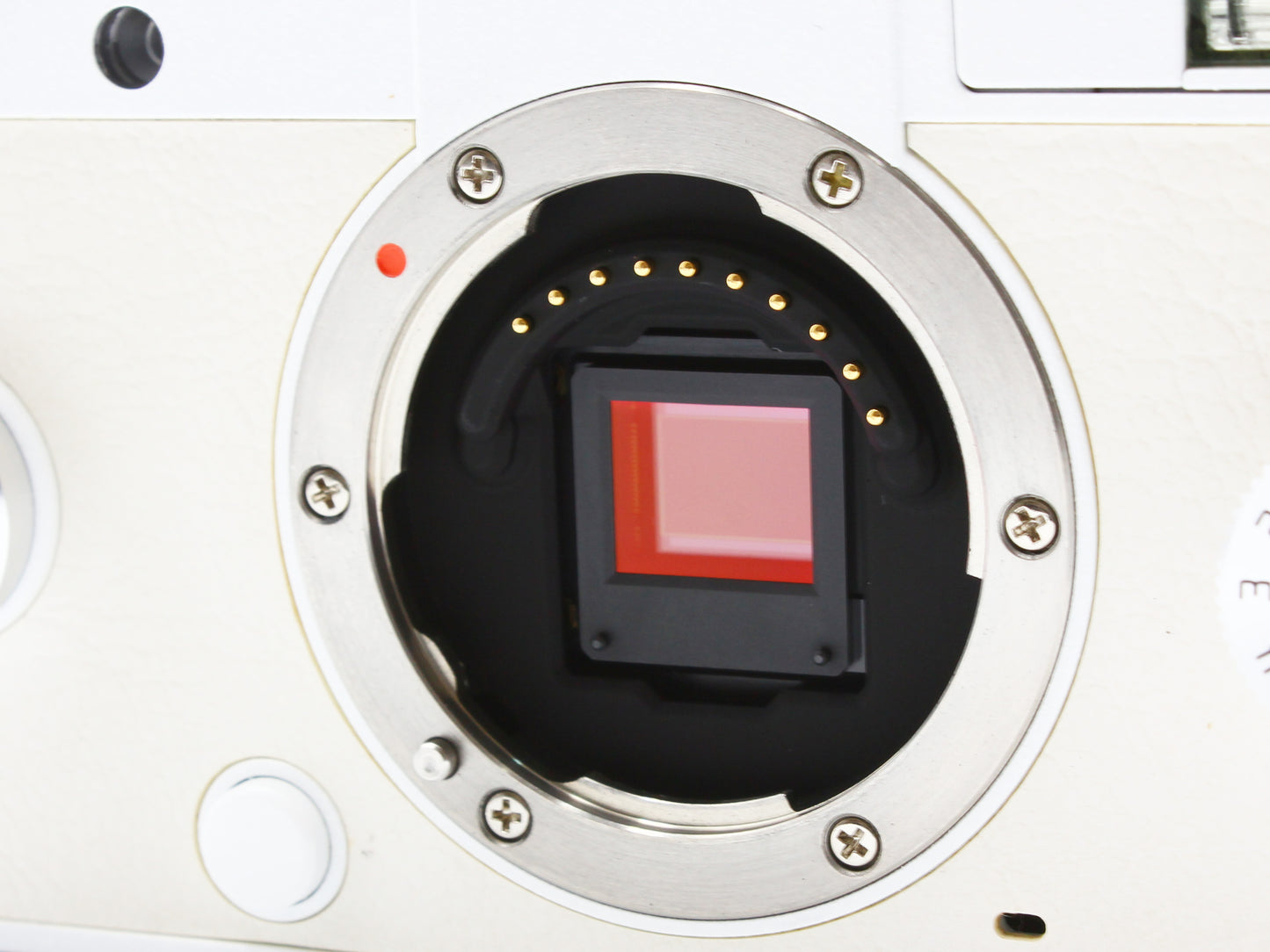 PENTAX Q-S1 White Mirrorless Camera 5-15mm f/2.8-4.5 Zoom Lens from JAPAN【Exc+5】