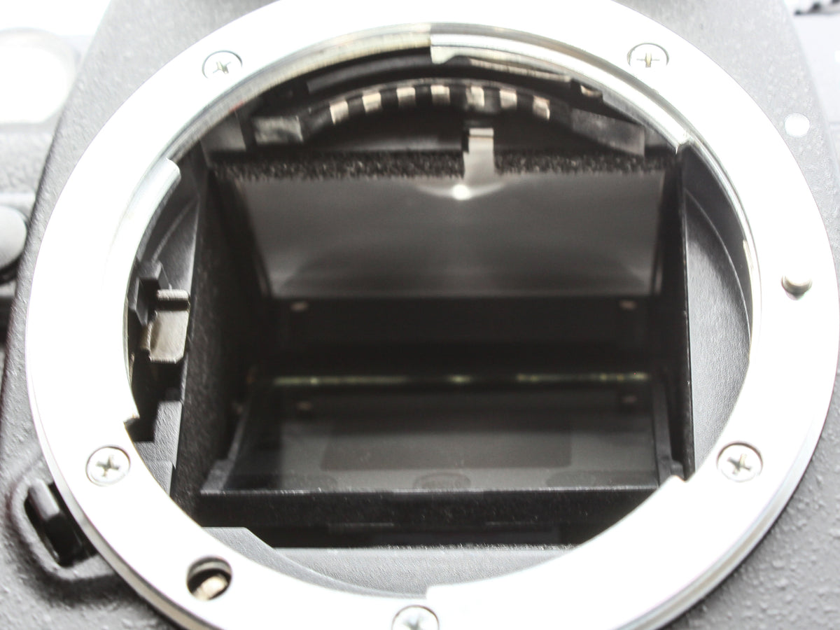 Nikon F80 Black SLR 35mm Film Camera Body MB-16 from JAPAN【NearMint】