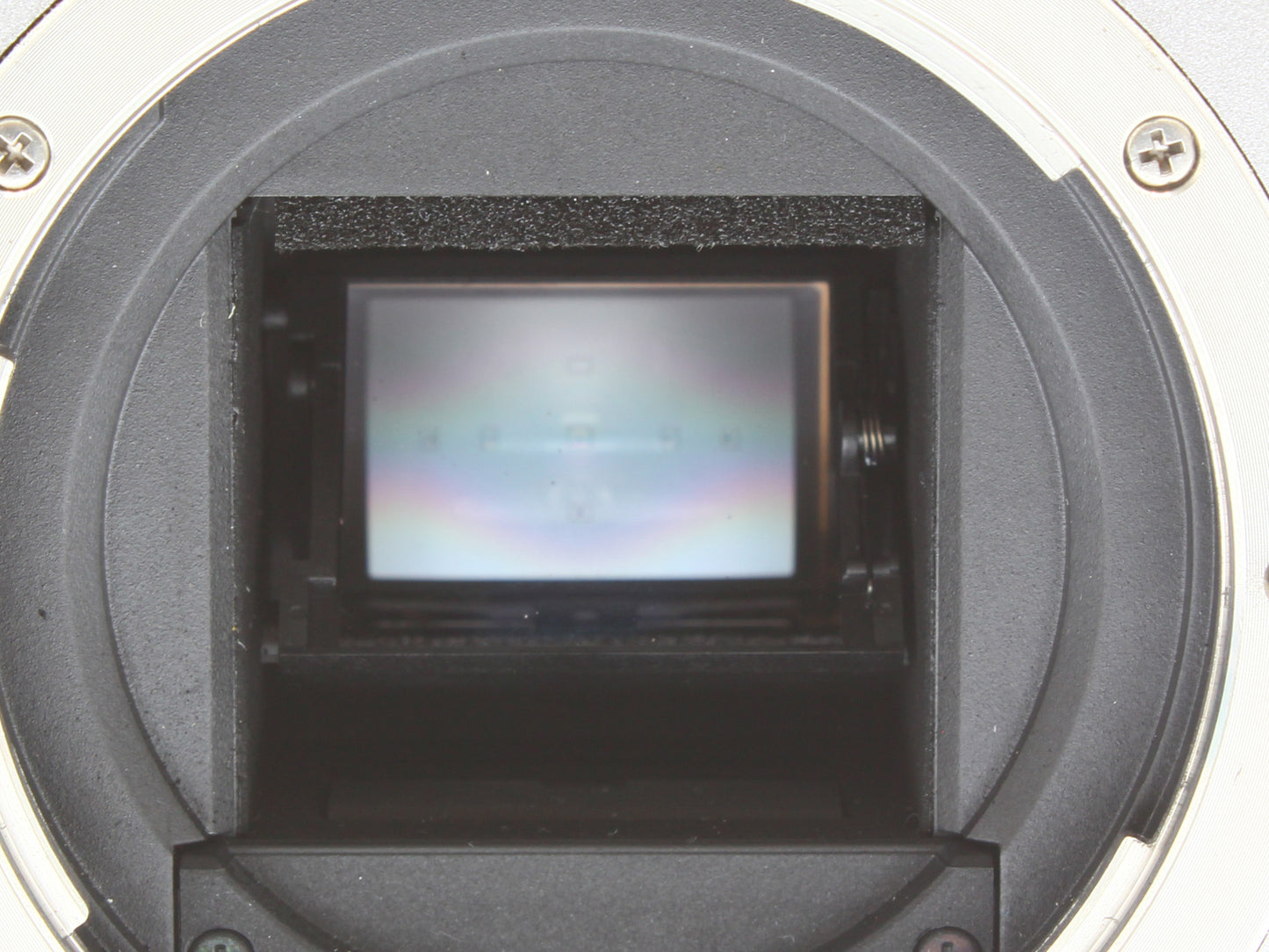EOS Kiss Digital N DSLR Camera EF-S 18-55mm f/3.5-5.6 Ⅱ USM Lens JAPAN【Exc+4】
