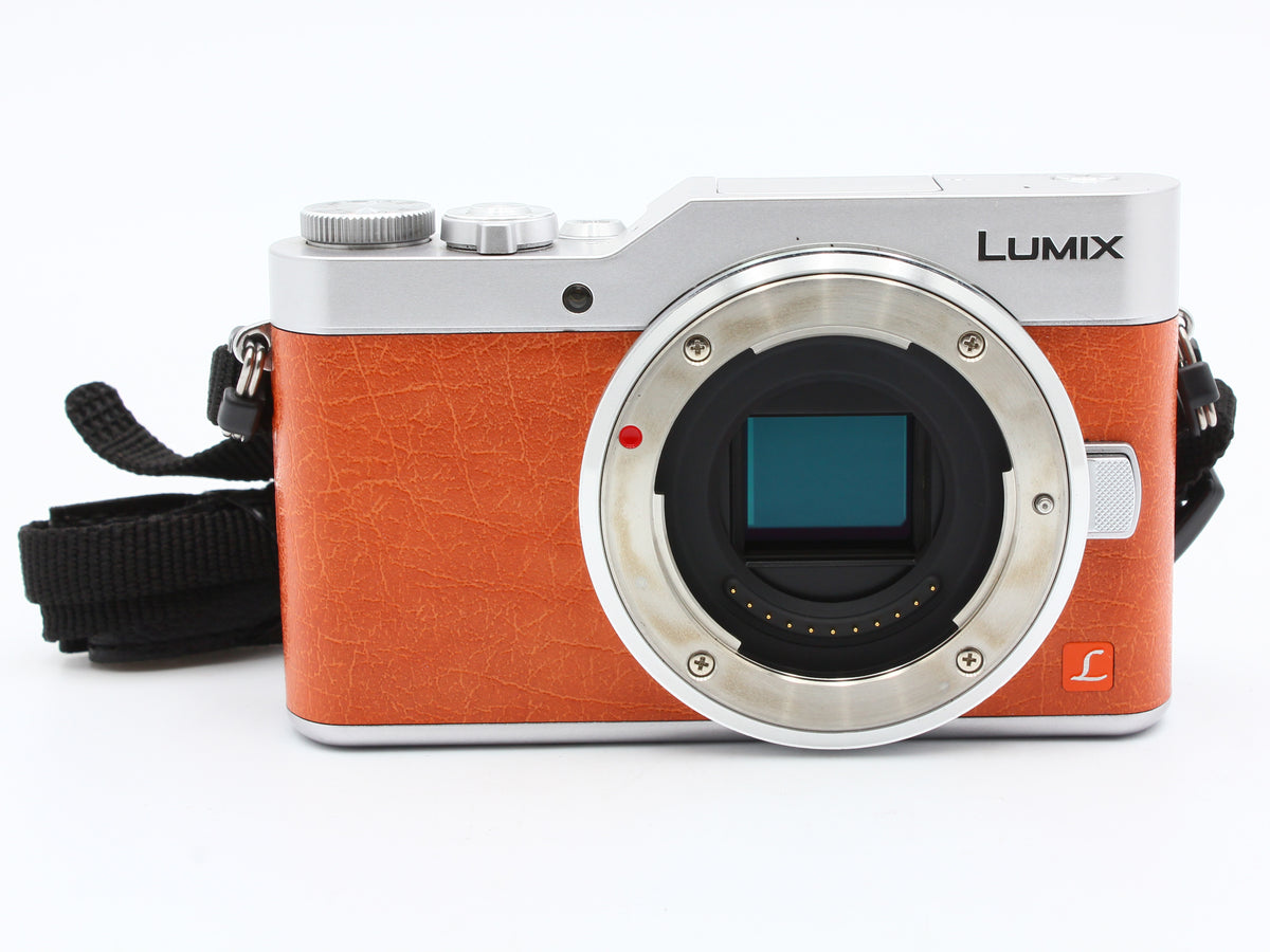 Panasonic LUMIX DC-GF9 Digital Camera 12-32mm f/3.5-5.6 Lens from JAPAN【Exc+4】