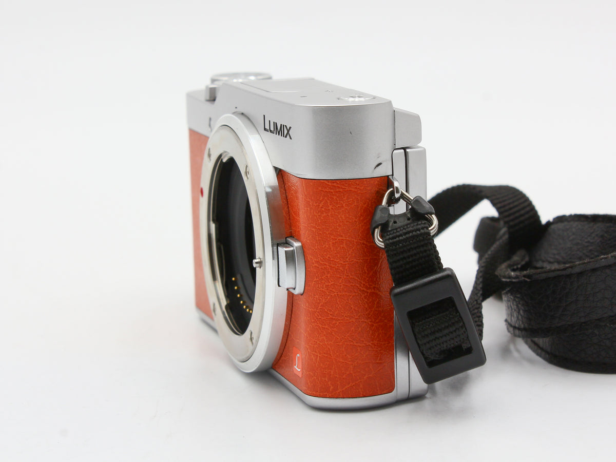 Panasonic LUMIX DC-GF9 Digital Camera 12-32mm f/3.5-5.6 Lens from JAPAN【Exc+4】