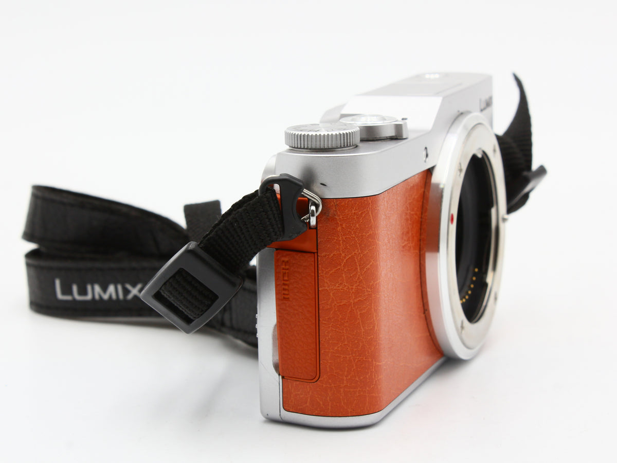 Panasonic LUMIX DC-GF9 Digital Camera 12-32mm f/3.5-5.6 Lens from JAPAN【Exc+4】