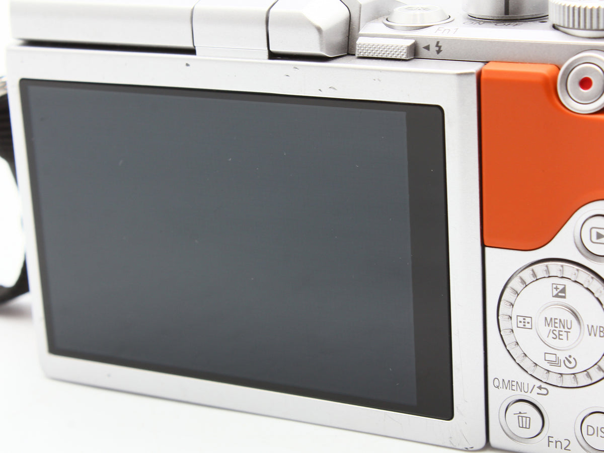 Panasonic LUMIX DC-GF9 Digital Camera 12-32mm f/3.5-5.6 Lens from JAPAN【Exc+4】
