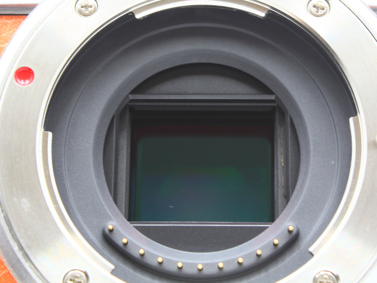 Panasonic LUMIX DC-GF9 Digital Camera 12-32mm f/3.5-5.6 Lens from JAPAN【Exc+4】