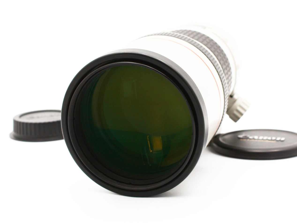 Canon EF 300mm f/4 L USM ULTRASONIC Telephoto Lens from JAPAN【Near Mint】