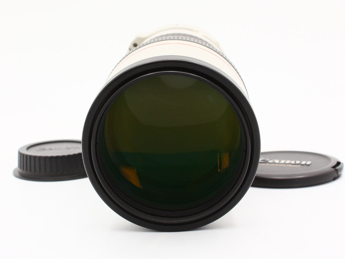Canon EF 300mm f/4 L USM ULTRASONIC Telephoto Lens from JAPAN【Near Mint】