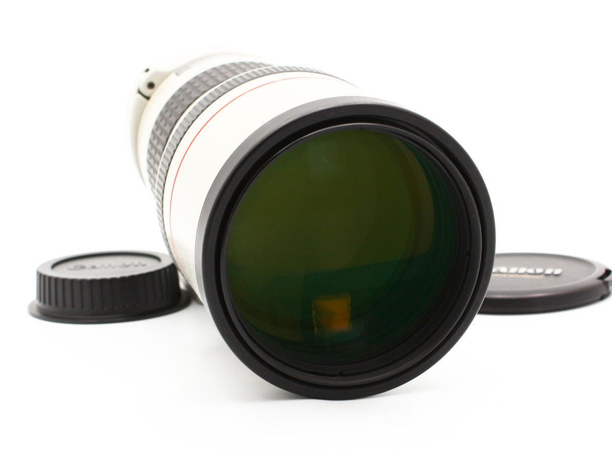 Canon EF 300mm f/4 L USM ULTRASONIC Telephoto Lens from JAPAN【Near Mint】