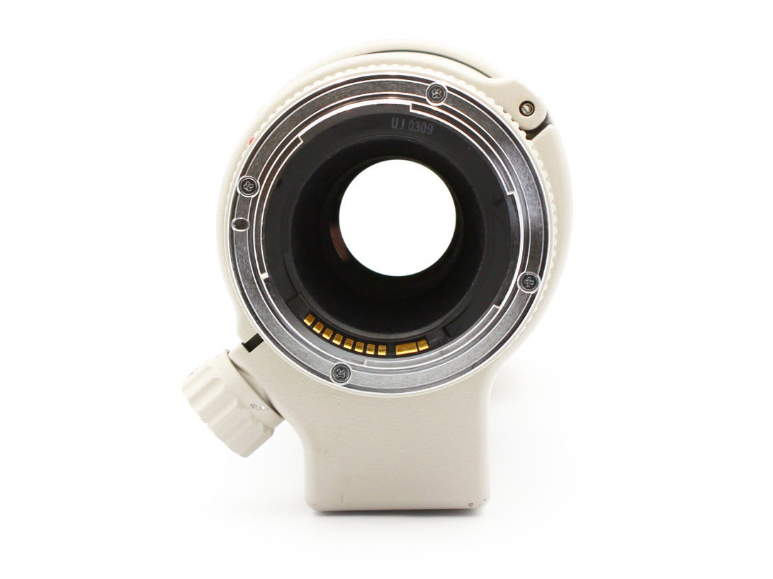 Canon EF 300mm f/4 L USM ULTRASONIC Telephoto Lens from JAPAN【Near Mint】