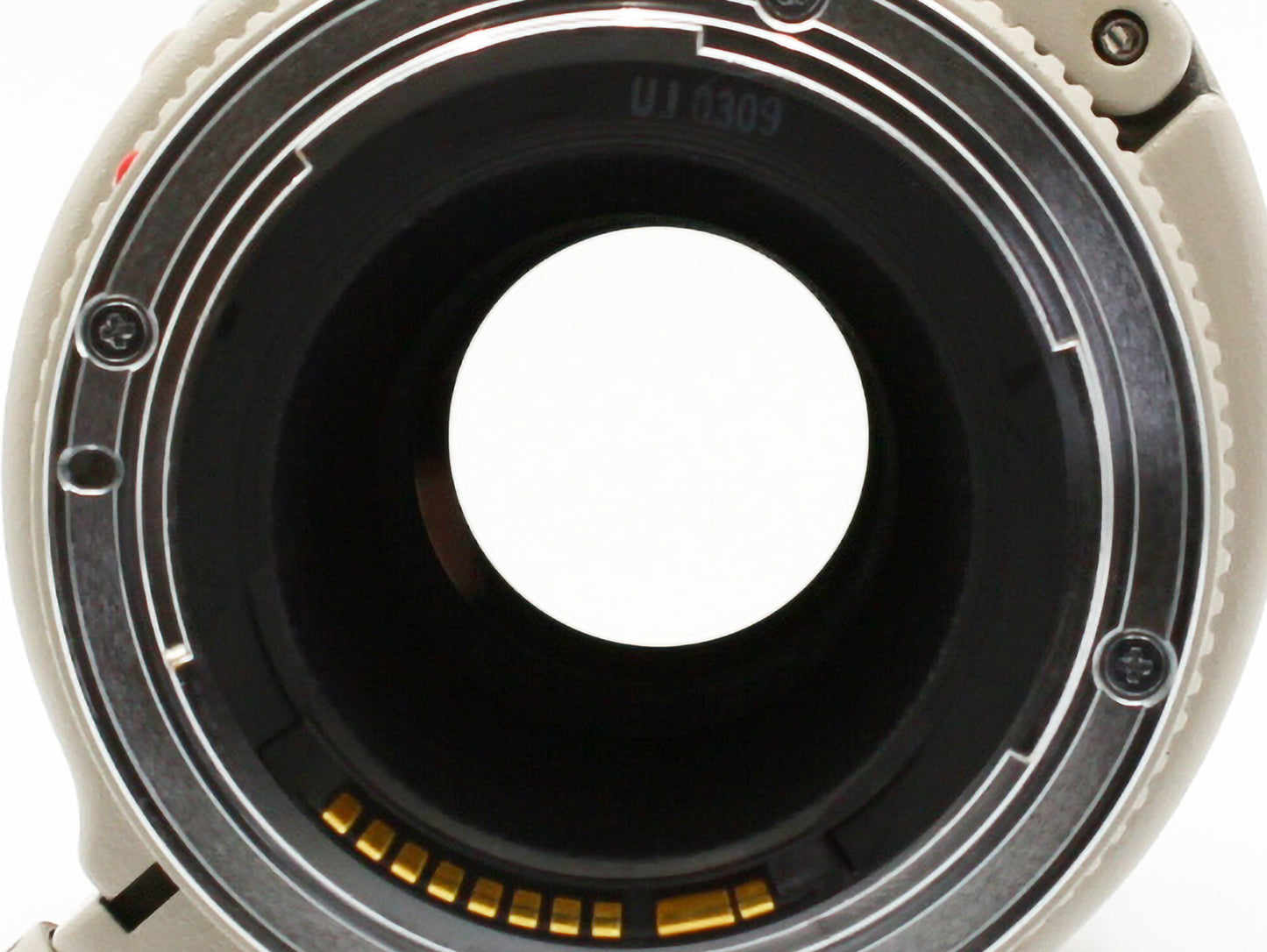 Canon EF 300mm f/4 L USM ULTRASONIC Telephoto Lens from JAPAN【Near Mint】