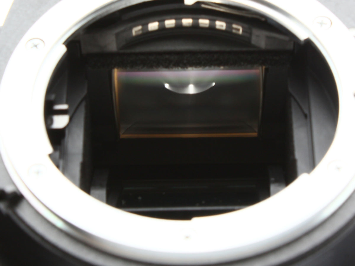 Nikon D40X Camera NIKKOR DX AF-S DS 18-55mm f/3.5-5.6GII ED Lens JAPAN【NearMint】