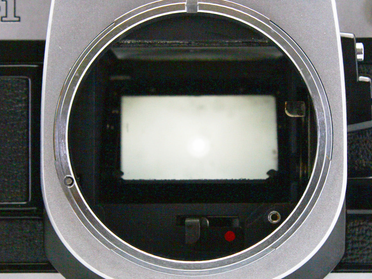 Canon AE-1 SLR 35mm Film Camera FD 50mm f/1.8 s.c. Lens from JAPAN【Exc+3】