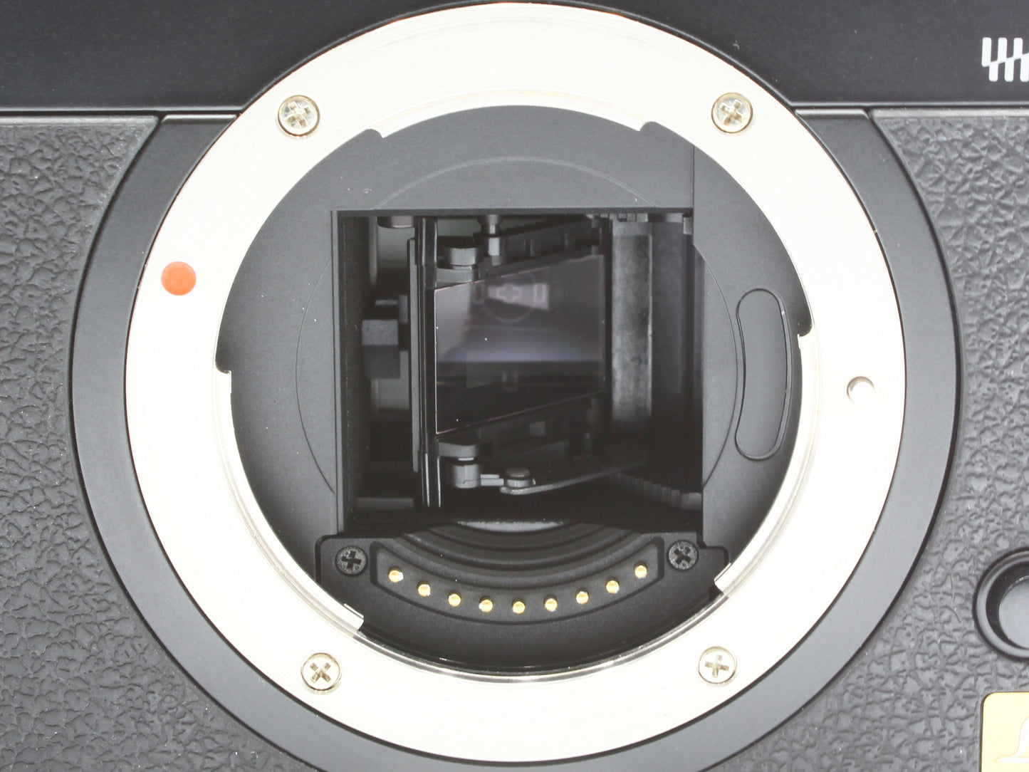 Panasonic LUMIX DMC-L1 Black DSLR Camera Body from Japan【Near Mint】
